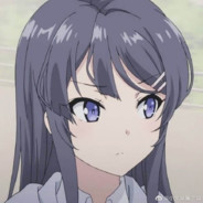 妮家那条宠物猫