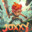 Joxxy