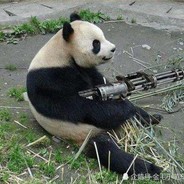 电脑玩家源濑氏佐田