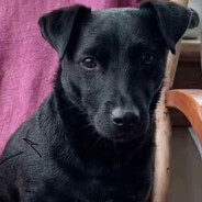 Asior - steam id 76561198892646211