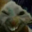 gazzonn's avatar