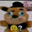 feddy