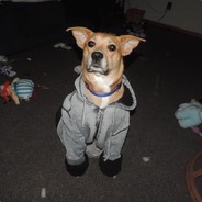 Squidward Tortellini