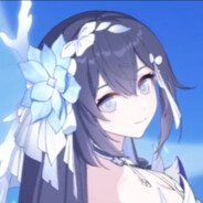 爱莉希雅的贴心提示