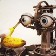 [Fancy] BananaHat - steam id 76561197993674422