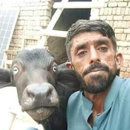 𝙺𝙰𝚃𝚃𝙰 𝙶