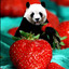 Strawberry Panda