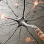 [SNC]Neuron