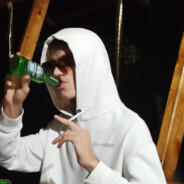 ElectricZoneX