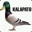 KALAPATO