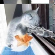 KillingZone666