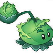 JuanXinCai—TouShou