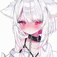 我打死的变猫娘被我超