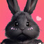 黑兔子°