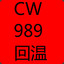 CW989-回温