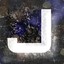 Jesion