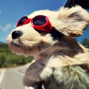 Ramzes