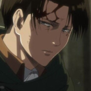 LeVi