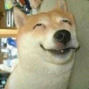 以梦为马，不负韶华。