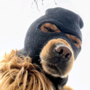 做大做强，再创辉煌