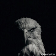 Rroç1 - steam id 76561199233924839