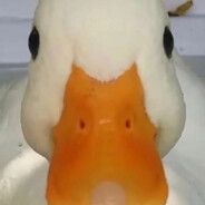 quackochoi