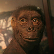 ♛ТВК | Mamut Rahal