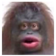 SusMonkey117