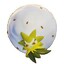 Eldegoss