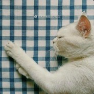 随便一点！都是头