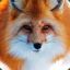 |EXG| The furry Fox