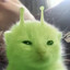 Blorp