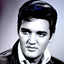 An Elvis Fan