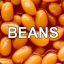 [K-T M] Bean