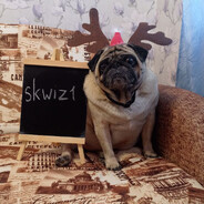 Skwiz1 avatar