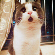 仮面ライダー氚钐钾