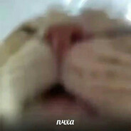 Creepy peepee