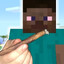 sativa