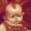 Darpy