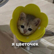 Саня Спермадуров