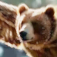 熊鹰一样的男人