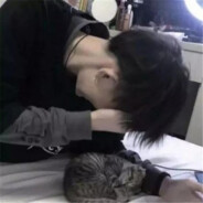 我叫马卡龙枪马网卡耳