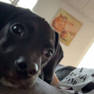 Mulle - steam id 76561199188801989