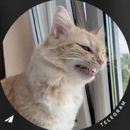 gareza avatar