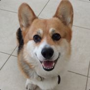 Sups - steam id 76561197964317438