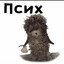 Ёжик псих