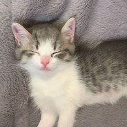 喝大窑嘉宾 揍父老乡亲