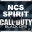 *NCS*_ *spirit*_*ag*