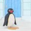 Pingu
