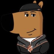 ognjenivko - steam id 76561199546307589